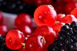 5 loại thực phẩm 'vàng' giúp giải độc gan và tăng cường chức năng gan