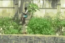 Bạn trẻ - Cuộc sống - Cố trèo vào chuồng sư tử, chàng trai ngay lập tức bị cắn chết