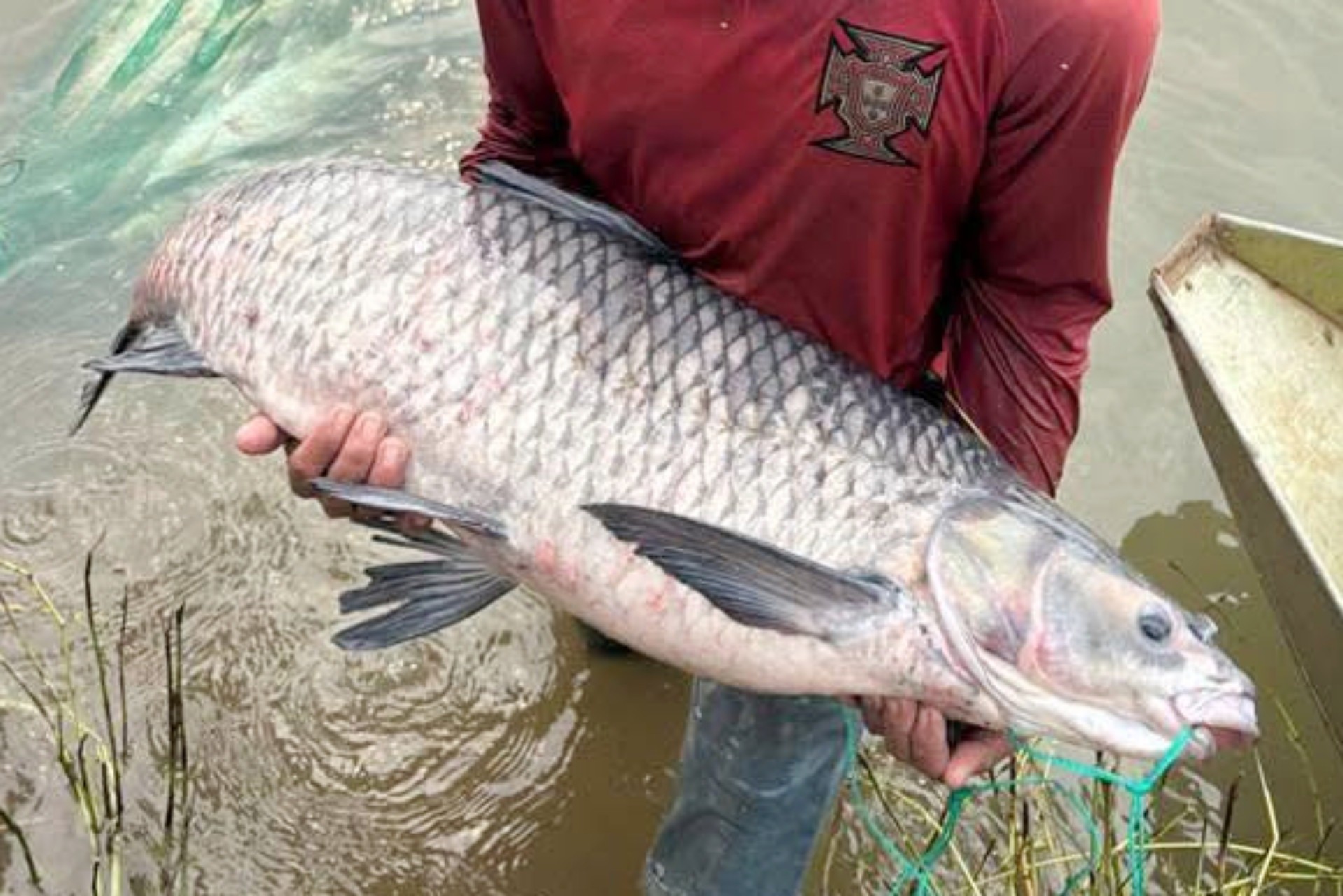 Ngày hiếm có trong năm, hàng trăm người đổ về hồ Trị An săn cá khủng - 6