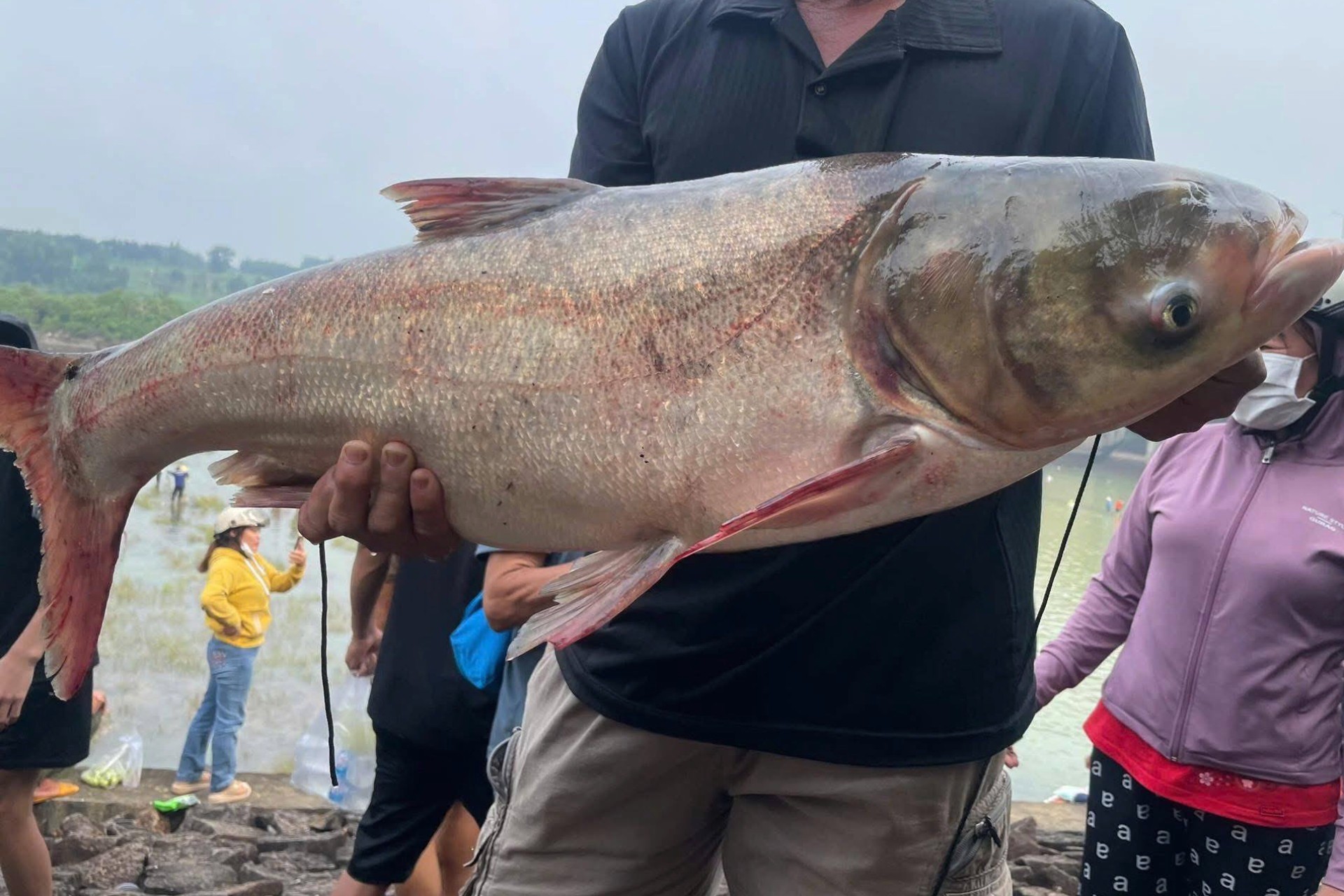 Ngày hiếm có trong năm, hàng trăm người đổ về hồ Trị An săn cá khủng - 7