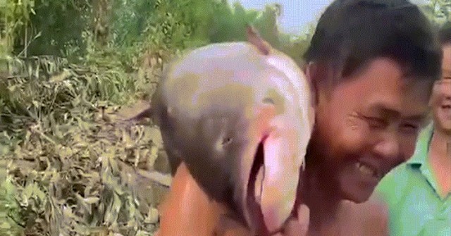 Ngày hiếm có trong năm, hàng trăm người đổ về h...