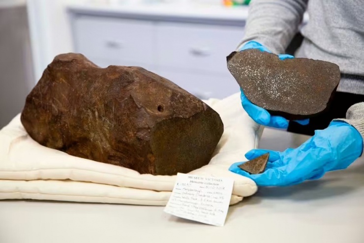 Tảng đá được xác định là thiên thạch có niên đại 4,6 tỷ năm. (Nguồn: Bảo tàng Victoria/Nhiếp ảnh gia: Rodney Start)