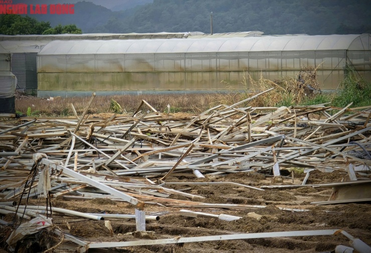 CLIP: Vựa rau lớn nhất Lâm Đồng xác xơ, nông dân mất tiền tỉ sau cơn "đại hồng thủy" - 6