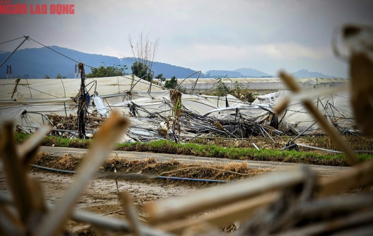 CLIP: Vựa rau lớn nhất Lâm Đồng xác xơ, nông dân mất tiền tỉ sau cơn "đại hồng thủy" - 5