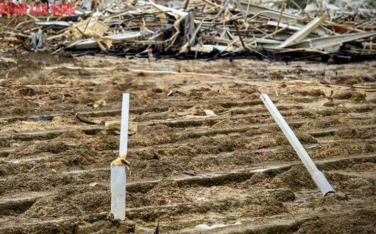 CLIP: Vựa rau lớn nhất Lâm Đồng xác xơ, nông dân mất tiền tỉ sau cơn "đại hồng thủy" - 7