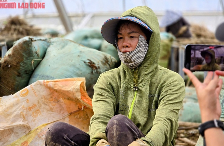 CLIP: Vựa rau lớn nhất Lâm Đồng xác xơ, nông dân mất tiền tỉ sau cơn "đại hồng thủy" - 8