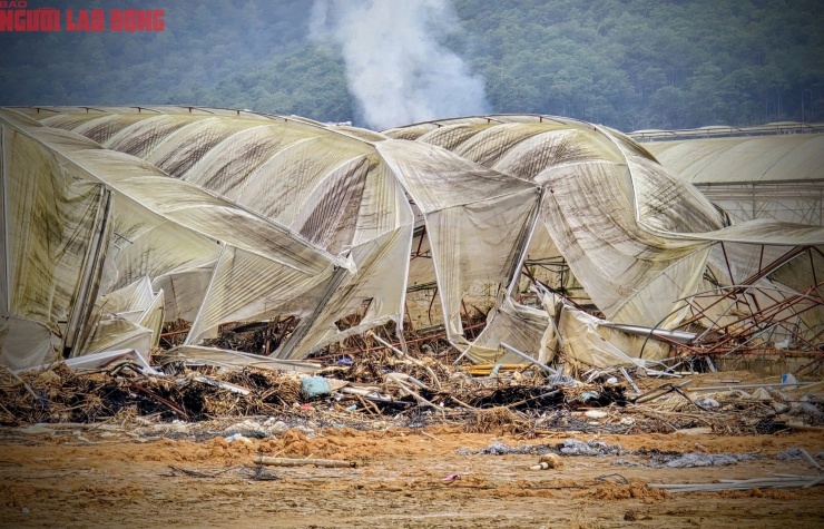 CLIP: Vựa rau lớn nhất Lâm Đồng xác xơ, nông dân mất tiền tỉ sau cơn "đại hồng thủy" - 12