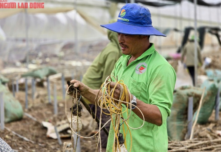 CLIP: Vựa rau lớn nhất Lâm Đồng xác xơ, nông dân mất tiền tỉ sau cơn "đại hồng thủy" - 11