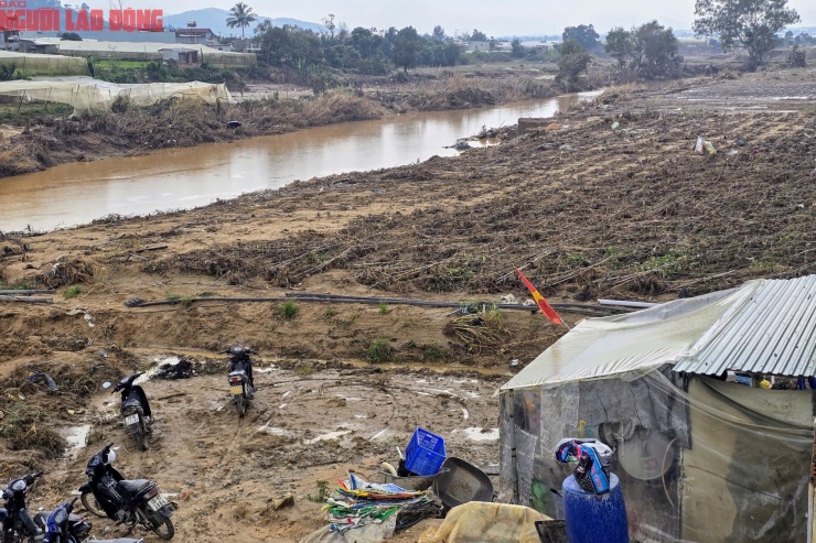 CLIP: Vựa rau lớn nhất Lâm Đồng xác xơ, nông dân mất tiền tỉ sau cơn "đại hồng thủy" - 22