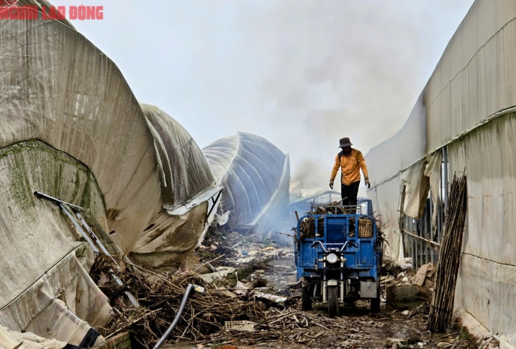 CLIP: Vựa rau lớn nhất Lâm Đồng xác xơ, nông dân mất tiền tỉ sau cơn "đại hồng thủy" - 23