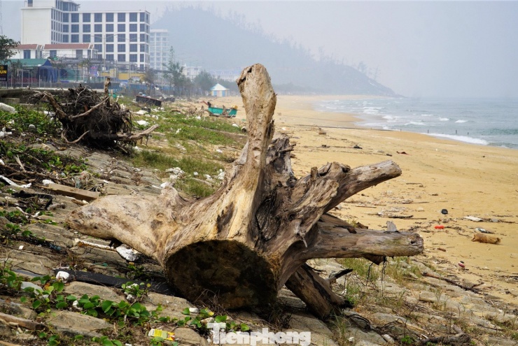 Bãi biển Thiên Cầm ngập rác - 8