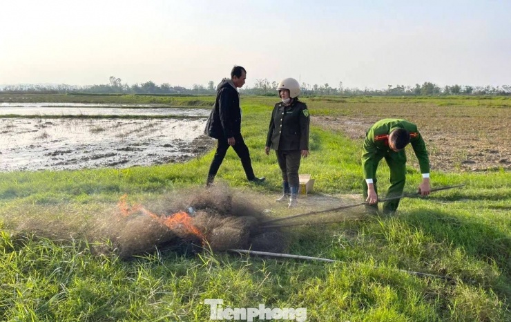 Lực lượng chức năng đã tiến hành thu giữ và tiêu hủy hơn 250m lưới giăng bẫy chim cùng 20 cọc tre, nứa, inox dùng để cố định lưới bẫy. Toàn bộ quá trình tiêu hủy được thực hiện ngay tại hiện trường, đúng quy định, thể hiện quyết tâm nghiêm minh của các lực lượng chức năng trong việc bảo vệ tài nguyên thiên nhiên.