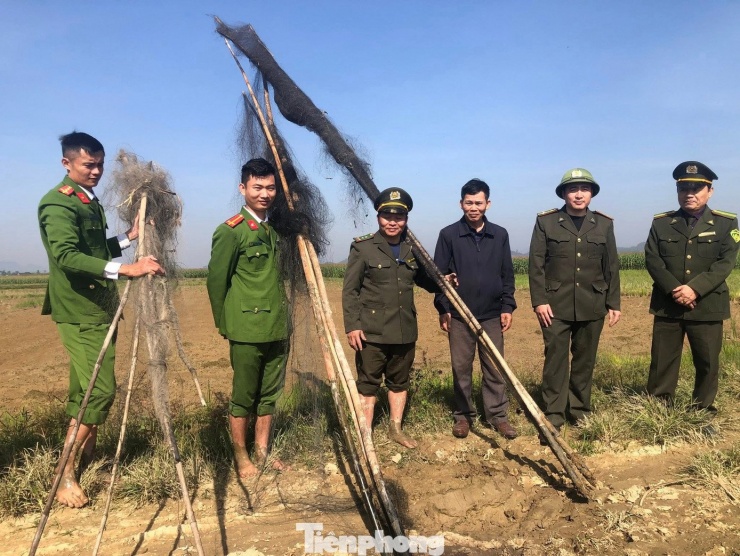 Hàng loạt bẫy lưới được lực lượng chức năng tháo dỡ.