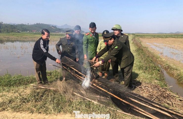 Rồi tiến hành tiêu hủy.