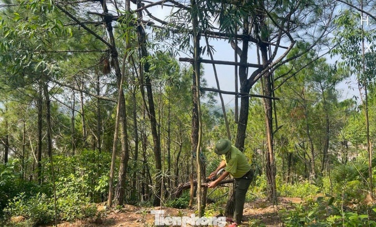 Hoạt động tuần tra, kiểm tra và xử lý kiên quyết của các lực lượng chức năng không chỉ góp phần ngăn chặn hành vi xâm hại động vật hoang dã mà còn lan tỏa thông điệp về bảo vệ môi trường, duy trì đa dạng sinh học và phát triển bền vững trong cộng đồng.