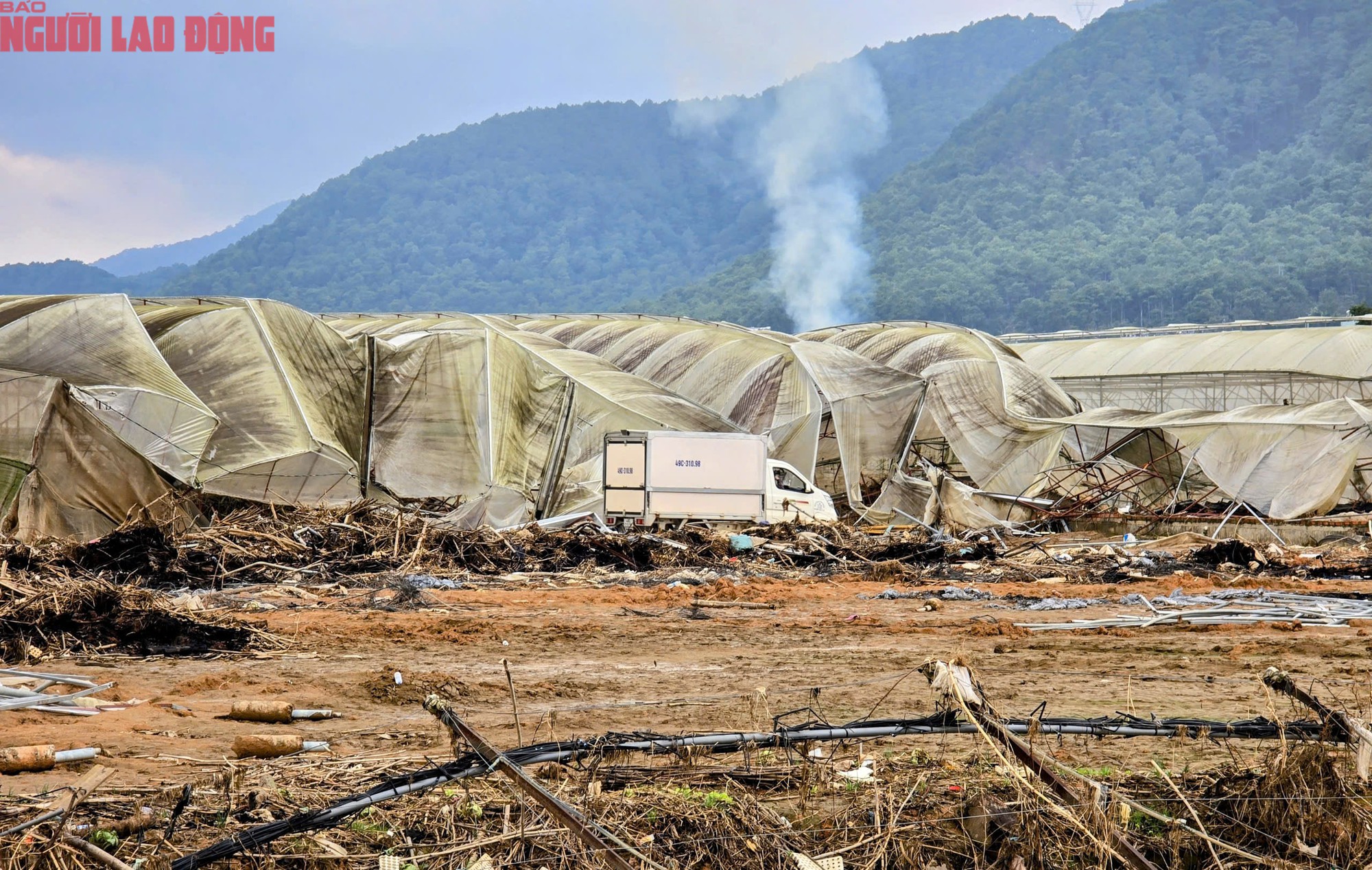 CLIP: Vựa rau lớn nhất Lâm Đồng xác xơ, nông dân mất tiền tỉ sau cơn "đại hồng thủy" - 2