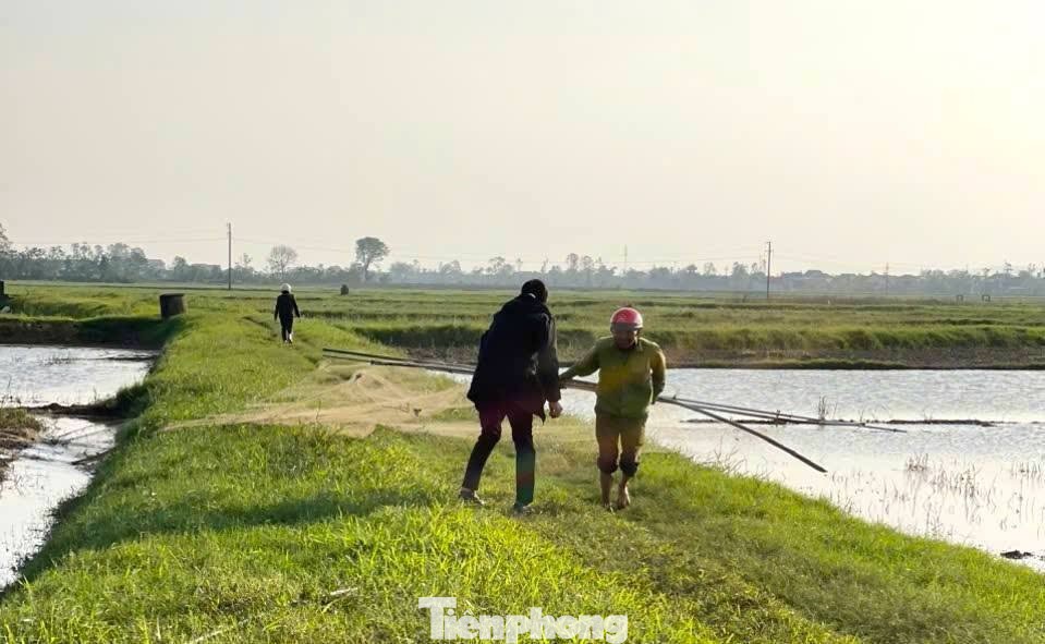 Tại các khu vực đồng ruộng, tổ công tác đã phát hiện nhiều dụng cụ bẫy chim trời trái phép.