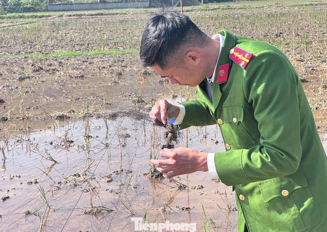 Phá &#39;thiên la địa võng&#39;, bảo vệ chim trời - 12