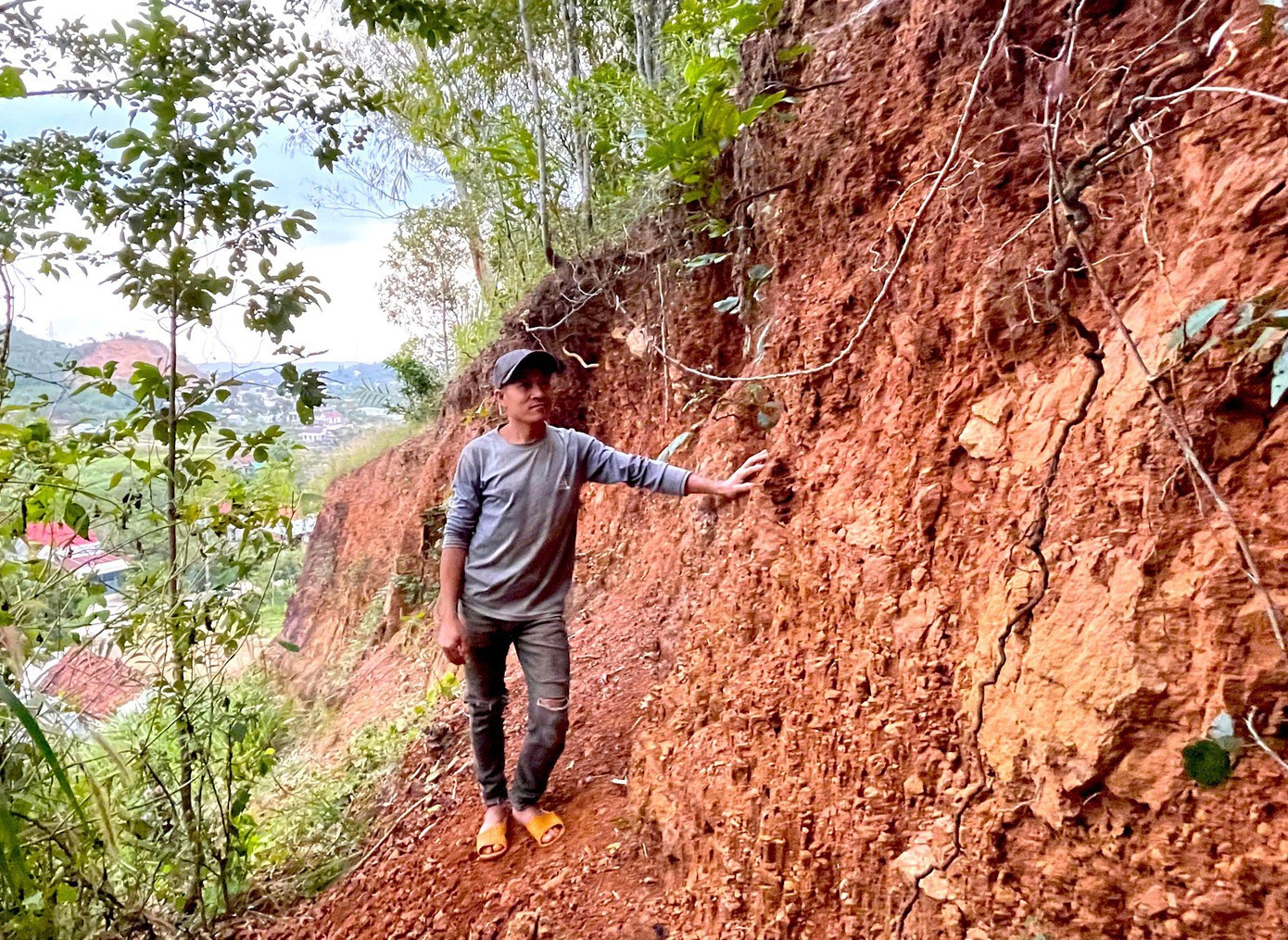 Vết nứt dài hơn 30m trên quả đồi uy hiếp tính mạng người dân - 3