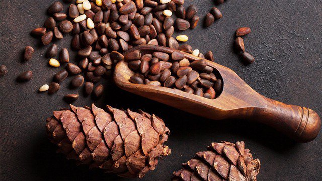 Hạt thông. Ảnh minh họa