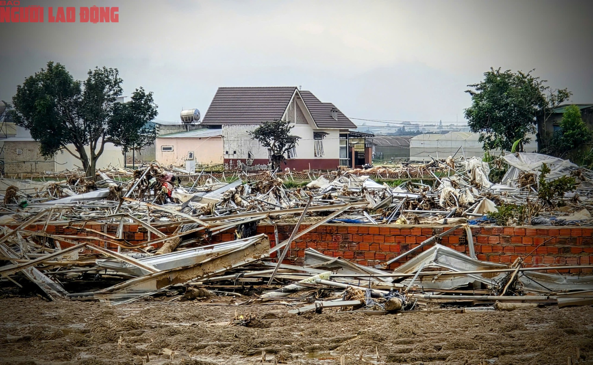 CLIP: Vựa rau lớn nhất Lâm Đồng xác xơ, nông dân mất tiền tỉ sau cơn "đại hồng thủy" - 3