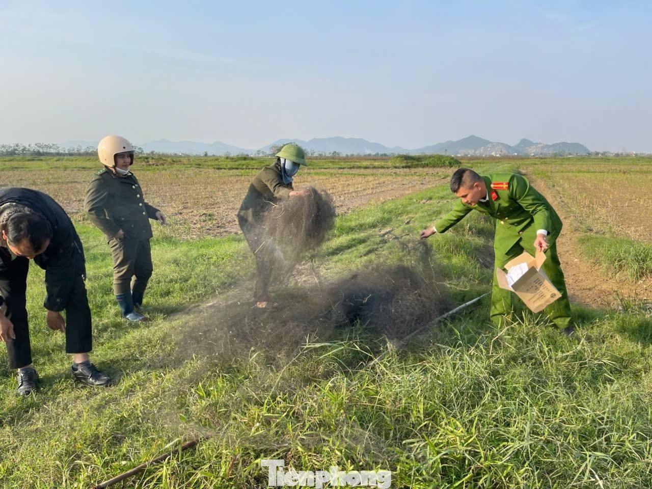 Tại các khu vực đồng ruộng, tổ công tác đã phát hiện nhiều dụng cụ bẫy chim trời trái phép.