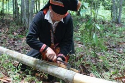 Thứ vỏ cây khô của đồng bào miền núi được các nước thích mê, đem về 6.500 tỷ