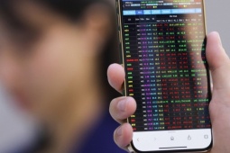 Bị lừa trực tuyến, người phụ nữ ủ mưu dụ thủ phạm 'sập bẫy'