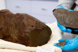 Đào đất tìm vàng, người đàn ông nhặt được thứ còn quý hơn vàng ngàn lần