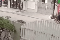 Tin tức trong ngày - Vụ người đàn ông bị đánh dã man ở Hà Nội: Đỗ Trọng Tuyến ra trình diện công an