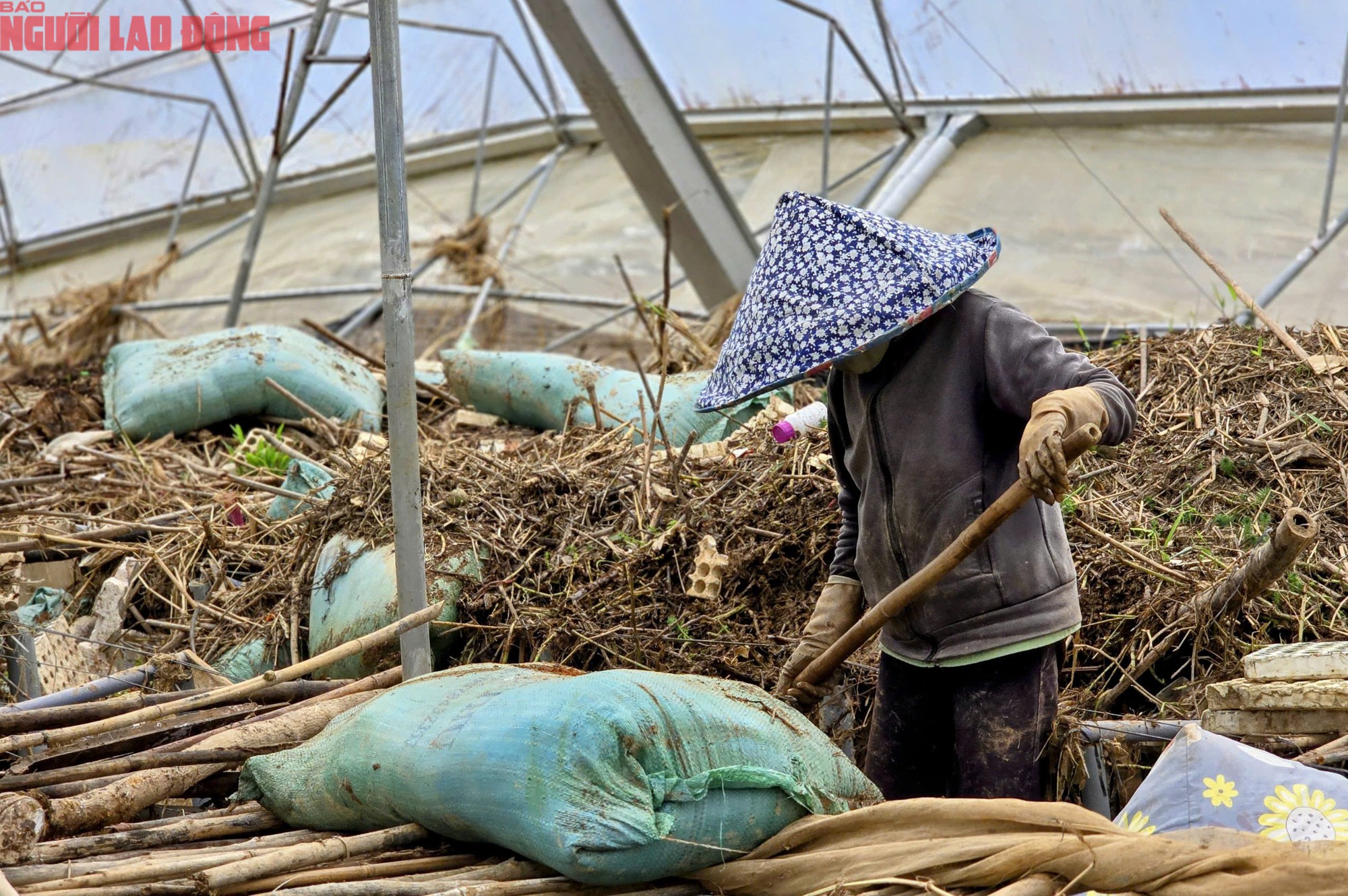 CLIP: Vựa rau lớn nhất Lâm Đồng xác xơ, nông dân mất tiền tỉ sau cơn "đại hồng thủy" - 9