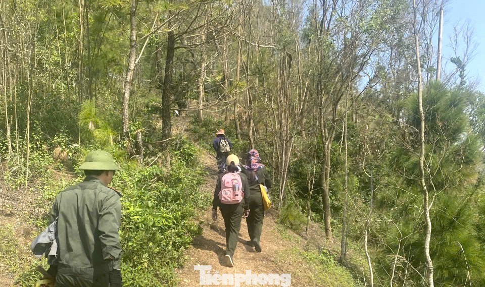 Tại xã Quỳnh Phú, lực lượng chức năng đã tổ chức ra quân tháo dỡ, thu gom các dụng cụ bẫy, lưới, bẫy dính được người dân giăng đặt để bắt chim trời.