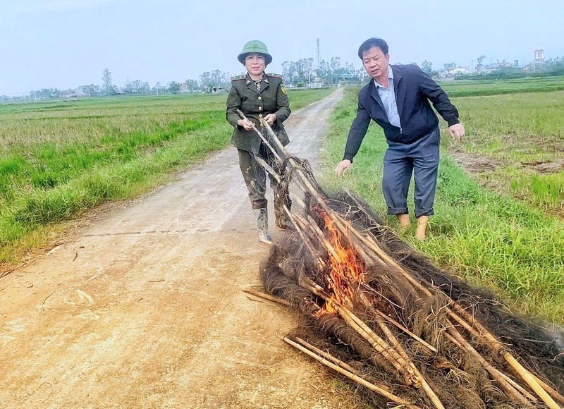 Phá &#39;thiên la địa võng&#39;, bảo vệ chim trời - 7