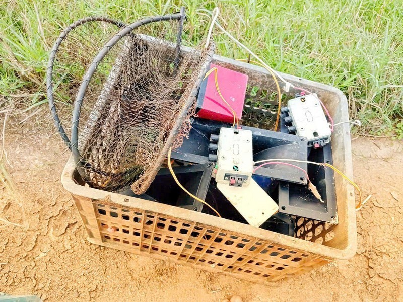 Phá &#39;thiên la địa võng&#39;, bảo vệ chim trời - 8