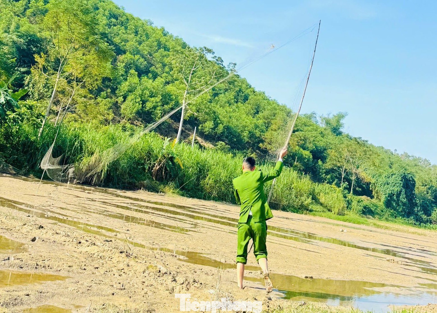 Phá &#39;thiên la địa võng&#39;, bảo vệ chim trời - 10