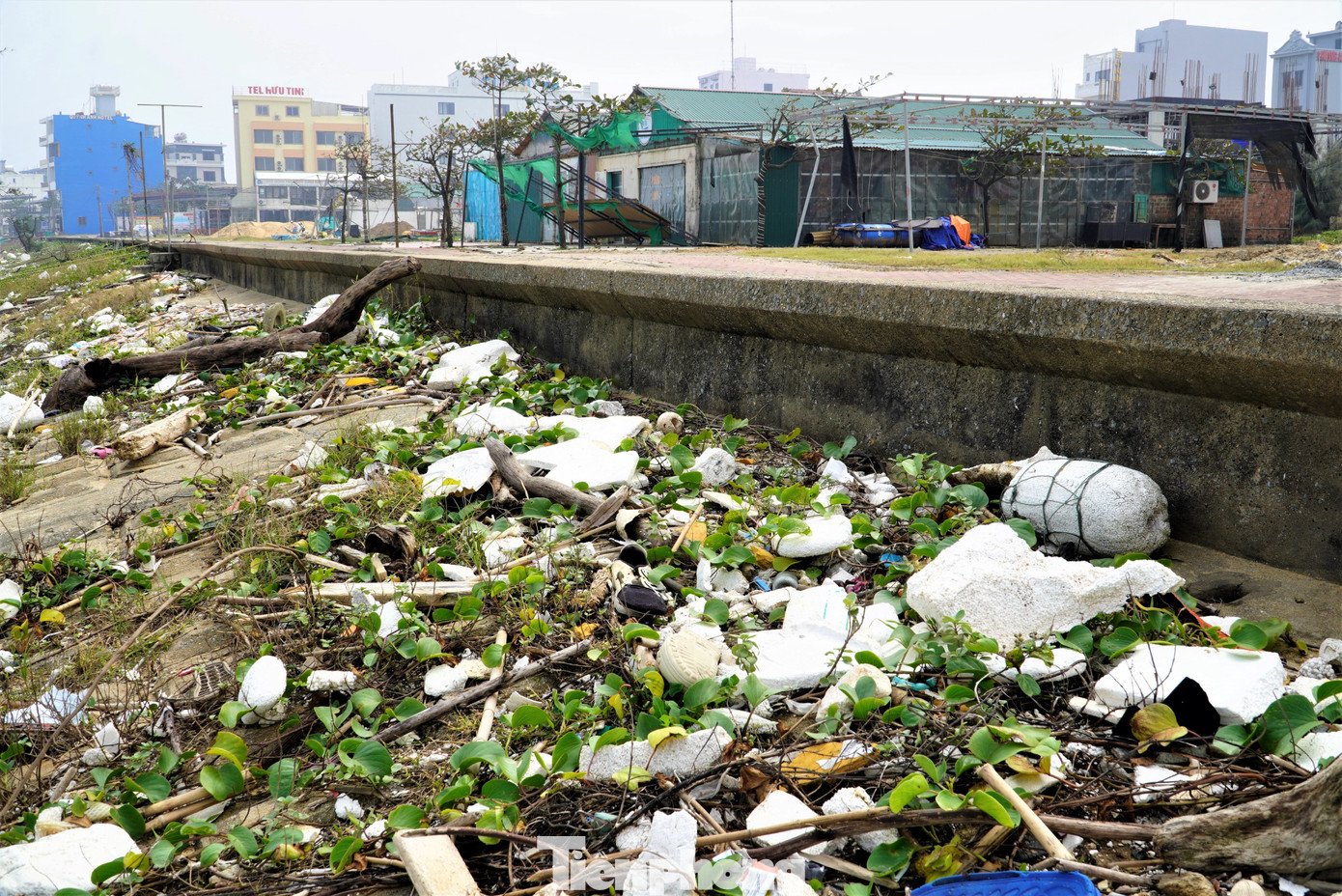 Bãi biển Thiên Cầm ngập rác - 7