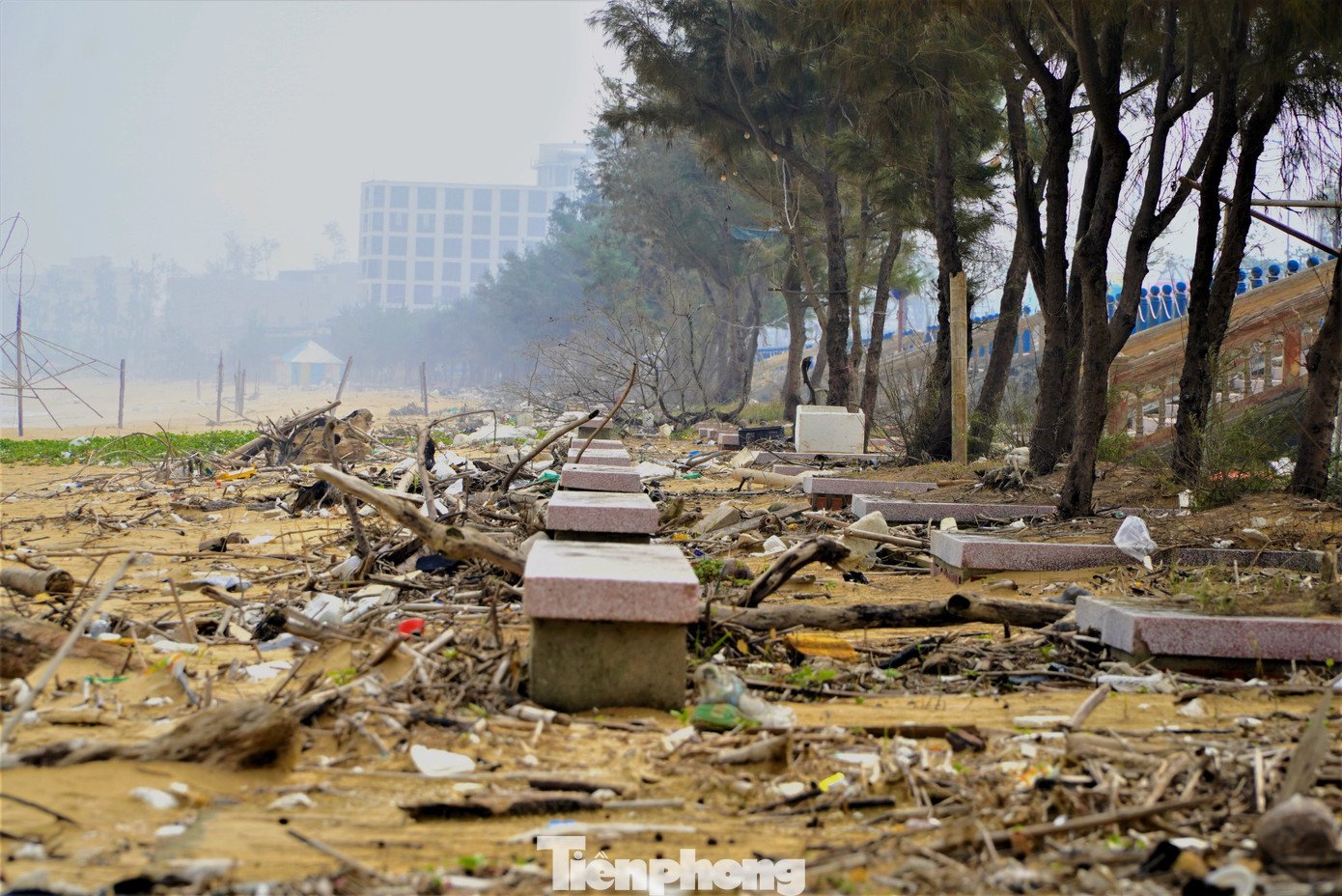 Bãi biển Thiên Cầm ngập rác - 4