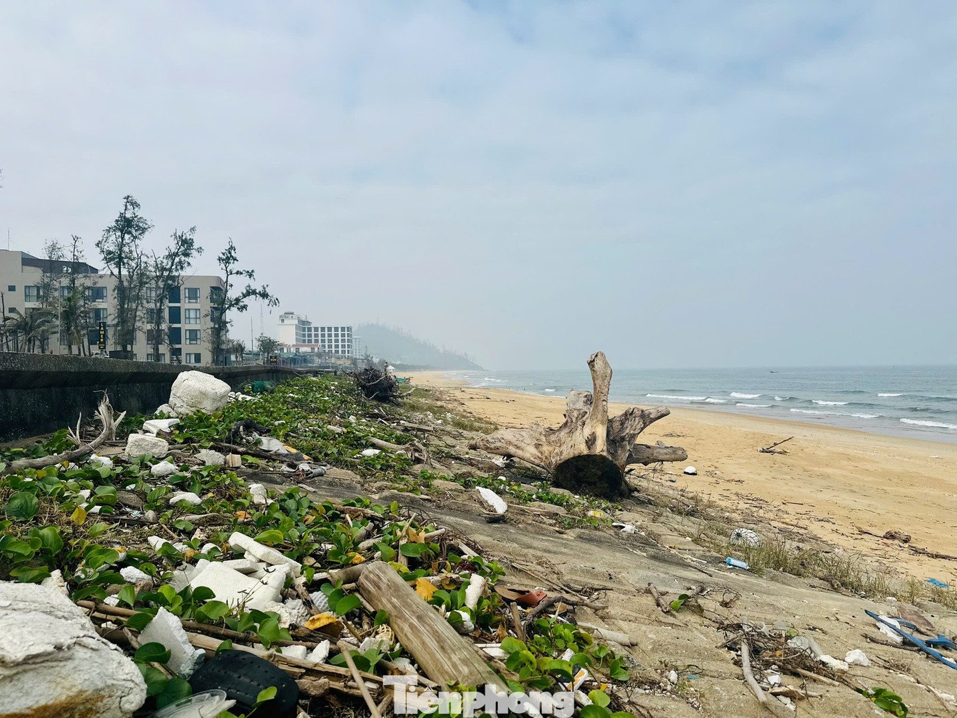 Bãi biển Thiên Cầm ngập rác - 10