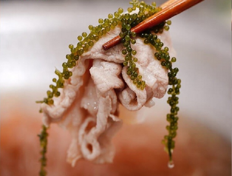 Loại siêu thực phẩm, bảo vệ sức khỏe tim mạch, chống loãng xương có sẵn ở biển Việt Nam, chế biến nhiều món ngon - 4