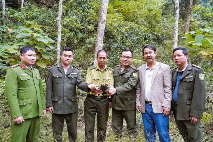 Lực lượng chức năng thả cá thể rùa hộp trán vàng quý hiếm về môi trường tự nhiên