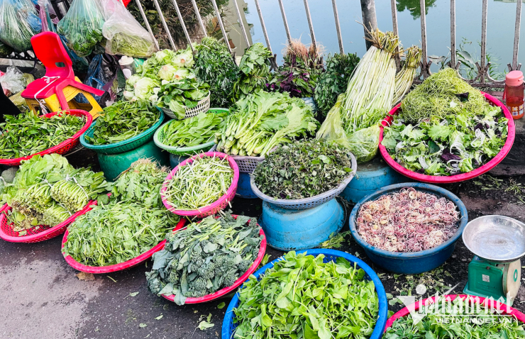 Nhiều loại rau xanh ở chợ Hà Nội giảm giá mạnh. Ảnh: TA