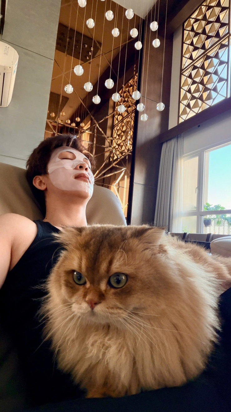 Ca sĩ Tăng Phúc đắp mặt nạ, thư giãn bên mèo cưng.
