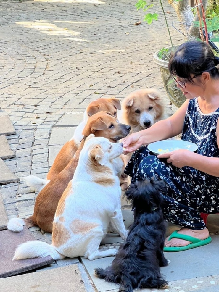 Các con vật xếp hàng quanh Ánh Tuyết khi thấy chị cầm đĩa đồ ăn.