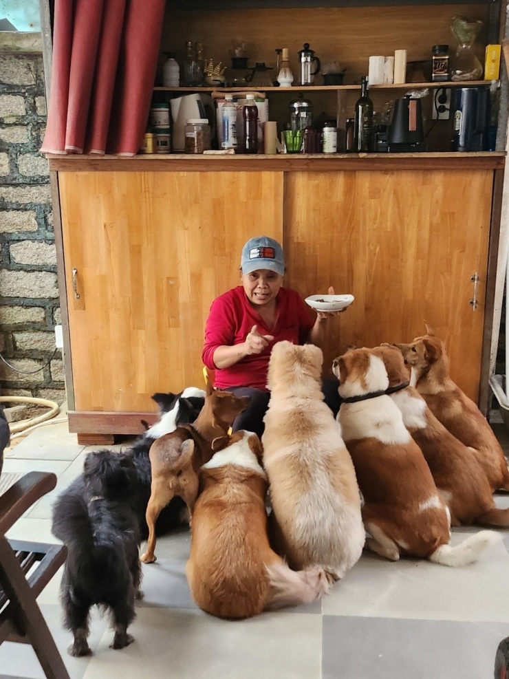 Người thân phụ Ánh Tuyết cho bầy chó ăn mỗi khi chị vắng nhà.