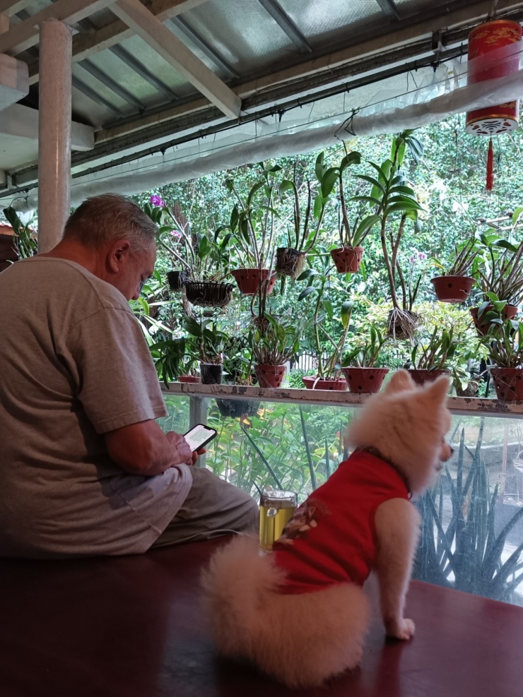 Chồng Ánh Tuyết cũng rất yêu thương bầy vật nuôi. Anh thường hỗ trợ vợ xử lý khi các con vật ốm hay gặp tai nạn, đồng thời mua sắm thức ăn và vật dụng cần thiết.