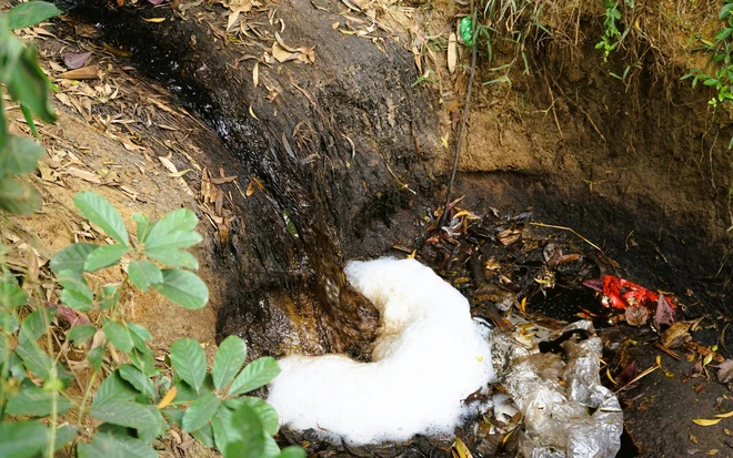 Nước đen ngòm từ bãi rác thải chảy ra con mương dẫn về cánh đồng của người dân phường Bỉm Sơn