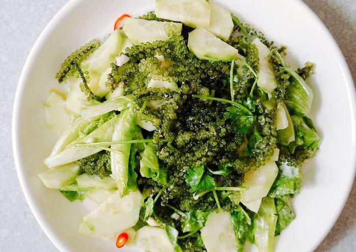 Loại siêu thực phẩm, bảo vệ sức khỏe tim mạch, chống loãng xương có sẵn ở biển Việt Nam, chế biến nhiều món ngon - 6