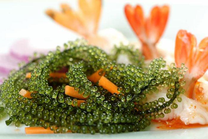 Loại siêu thực phẩm, bảo vệ sức khỏe tim mạch, chống loãng xương có sẵn ở biển Việt Nam, chế biến nhiều món ngon - 9