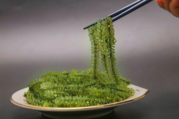 Loại siêu thực phẩm, bảo vệ sức khỏe tim mạch, chống loãng xương có sẵn ở biển Việt Nam, chế biến nhiều món ngon - 10