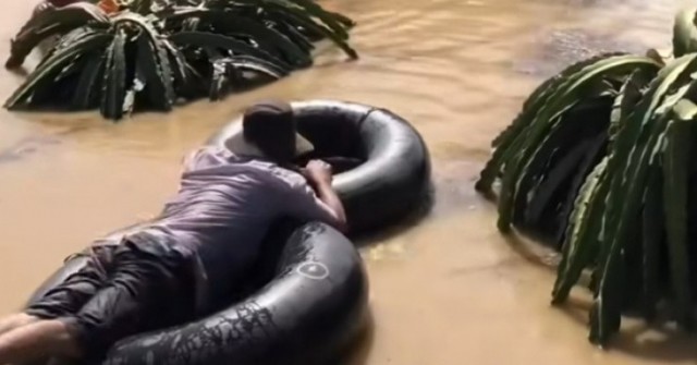 CLIP: Nông dân bám vào ruột xe tải bơi vào vườn...